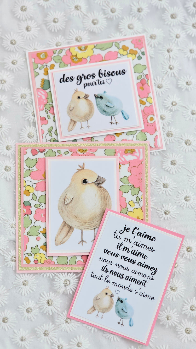 Pochette liberty et cartes